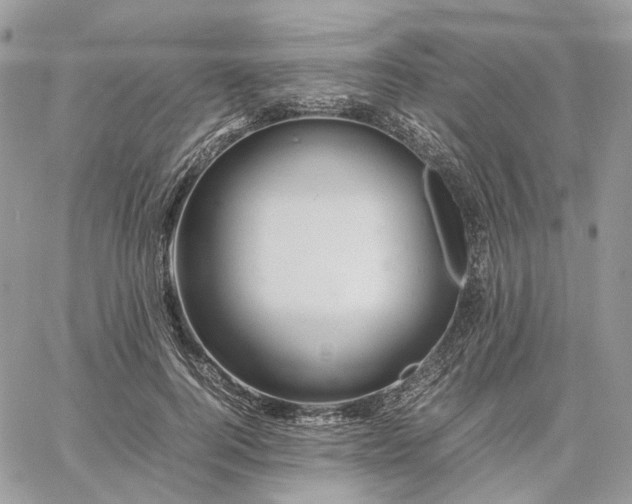 X0000060780744200511171242