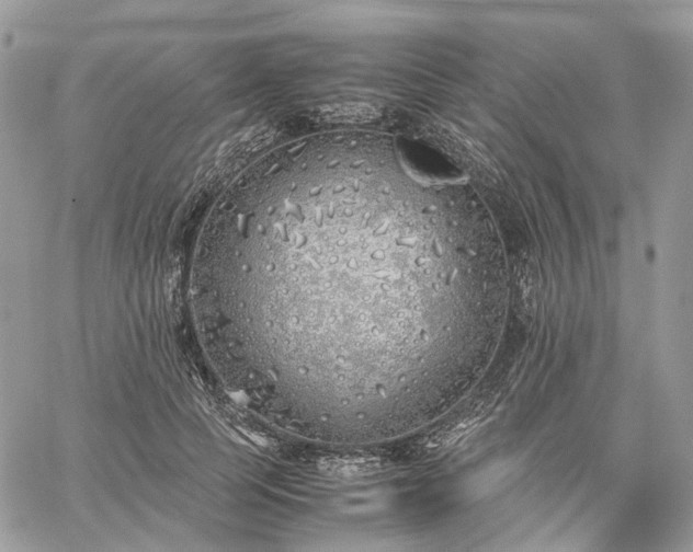 X0000060780745200511171242