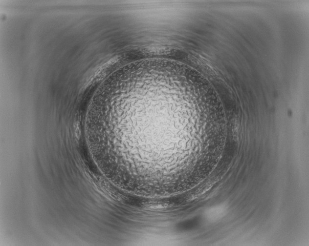 X0000060780746200511171242