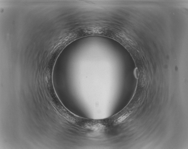 X0000060780747200511171242