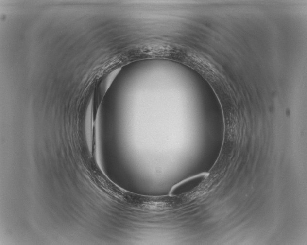 X0000060780748200511171242