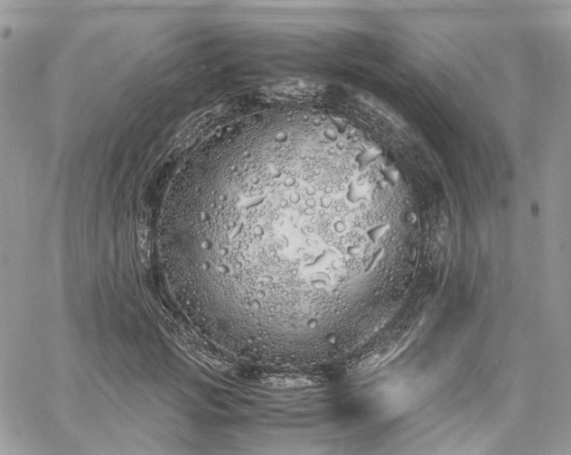 X0000060780749200511171242