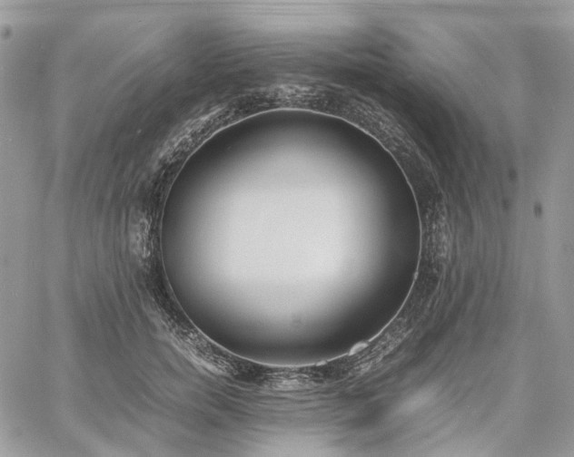 X0000060780750200511171242