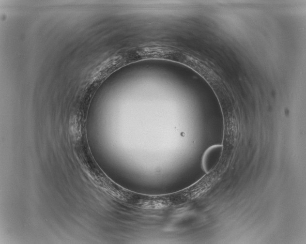 X0000060780751200511171242