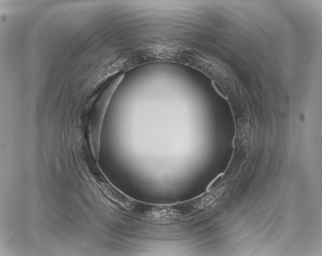 X0000060780752200511171242