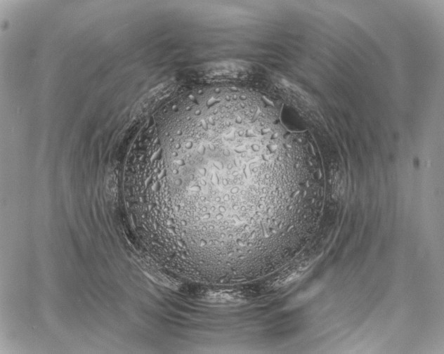 X0000060780753200511171242