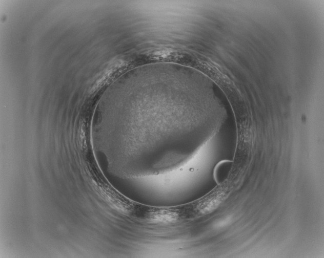 X0000060780754200511171242