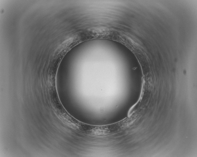 X0000060780756200511171242