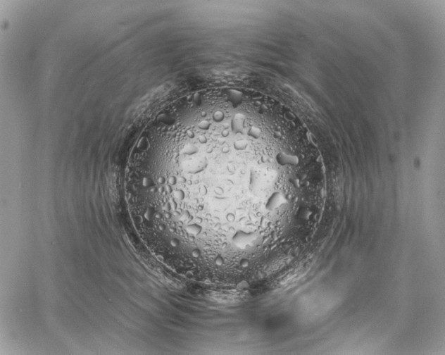 X0000060780757200511171242