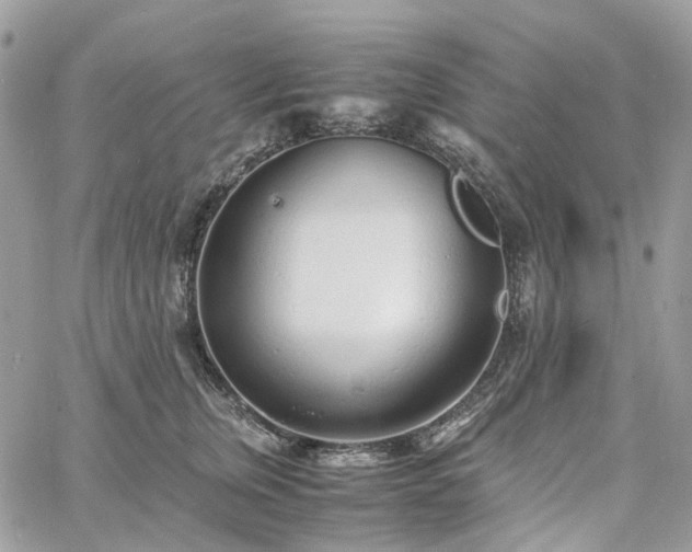 X0000060780759200511171243