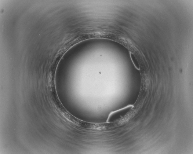 X0000060780760200511171243