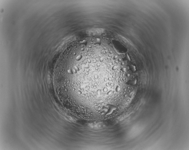 X0000060780761200511171243