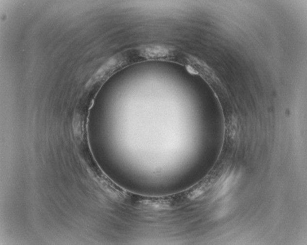 X0000060780763200511171243