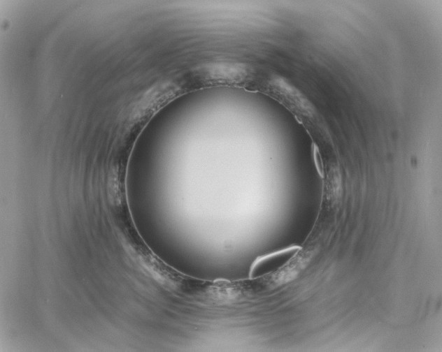 X0000060780764200511171243