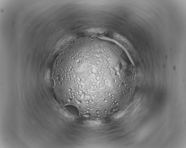 X0000060780765200511171243