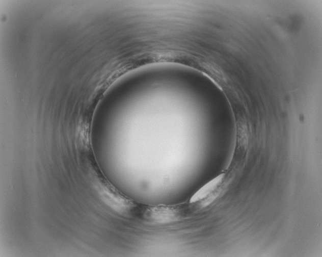 X0000060780766200511171243