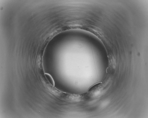 X0000060780767200511171243