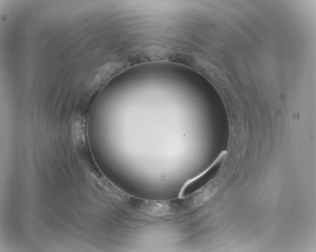 X0000060780768200511171243