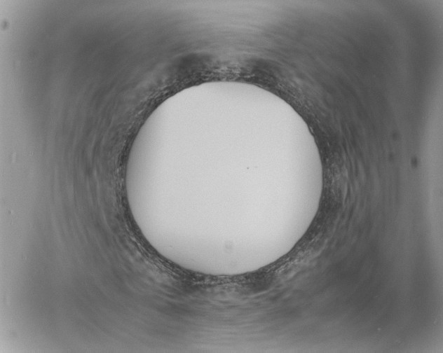 X0000060780769200511171242