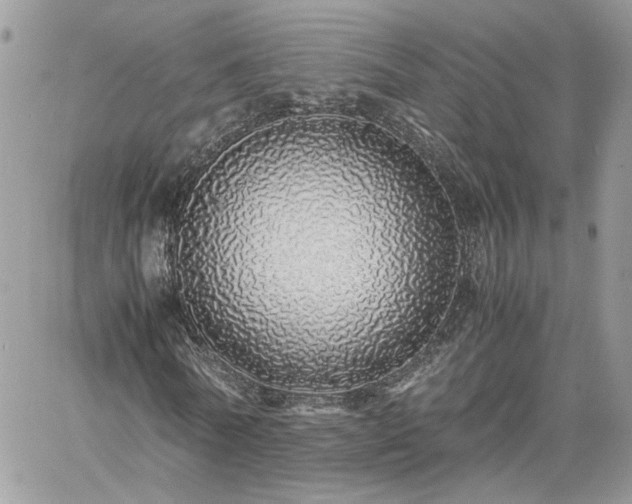 X0000060780770200511171242