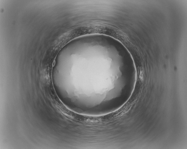 X0000060780771200511171242