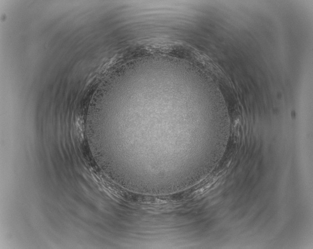 X0000060780772200511171242