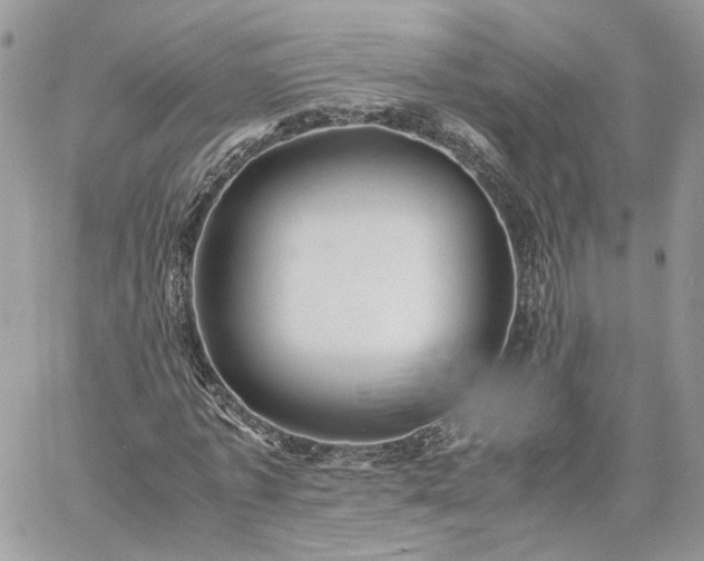 X0000060780773200511171242