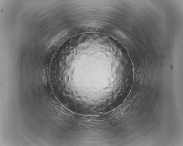 X0000060780774200511171242