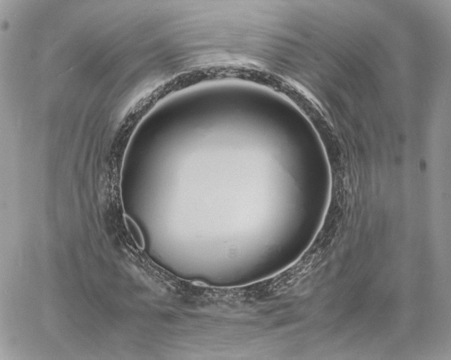 X0000060780775200511171242