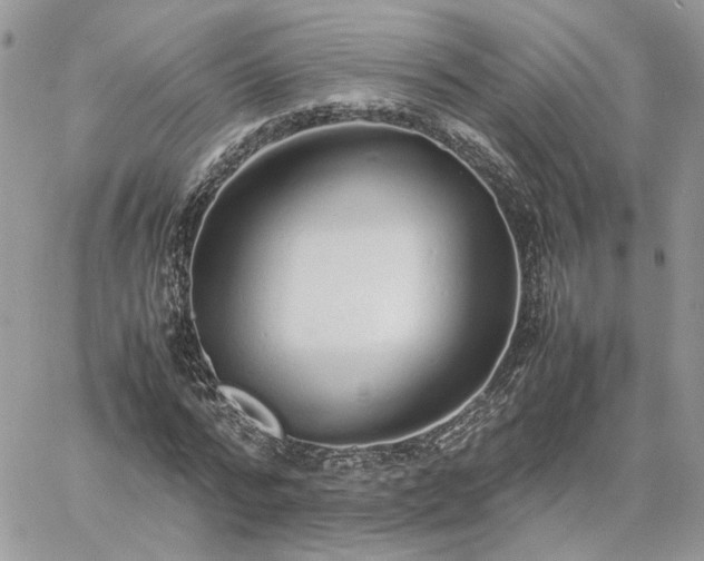 X0000060780776200511171242