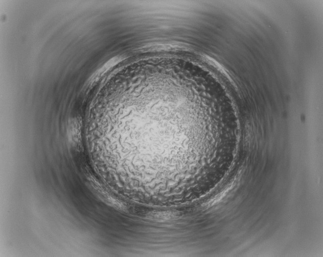 X0000060780778200511171242