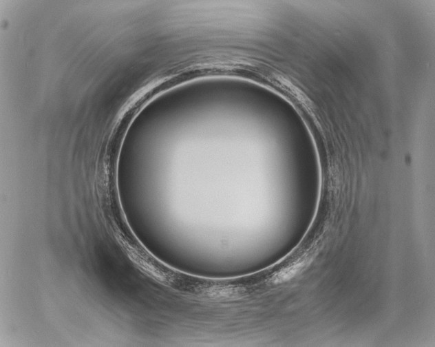 X0000060780779200511171242