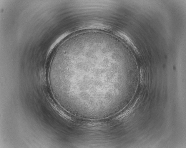 X0000060780780200511171242