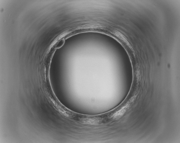 X0000060780781200511171242