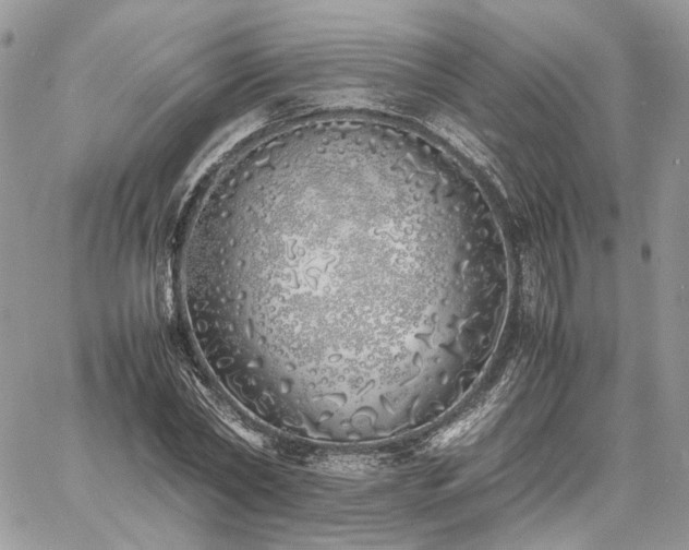 X0000060780782200511171242