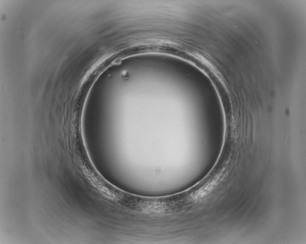 X0000060780783200511171242