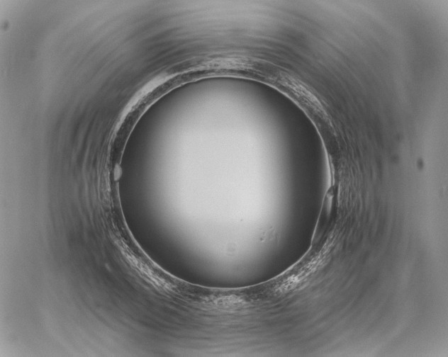 X0000060780784200511171242