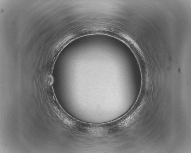 X0000060780785200511171242