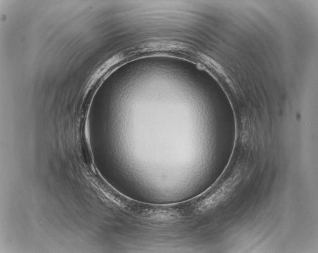 X0000060780786200511171242