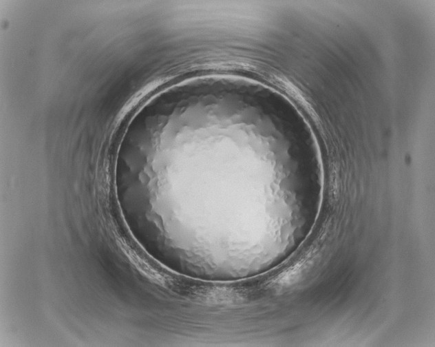 X0000060780787200511171242