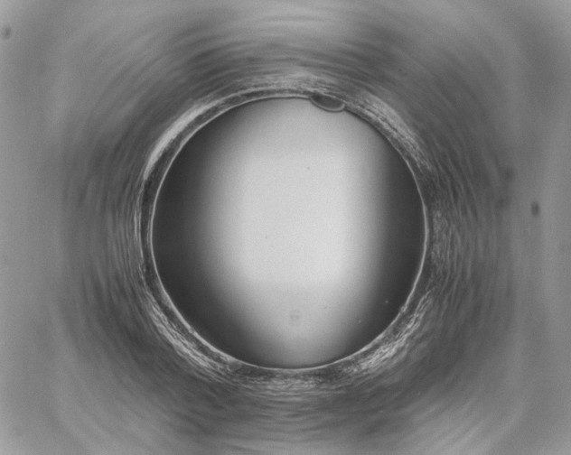 X0000060780788200511171242