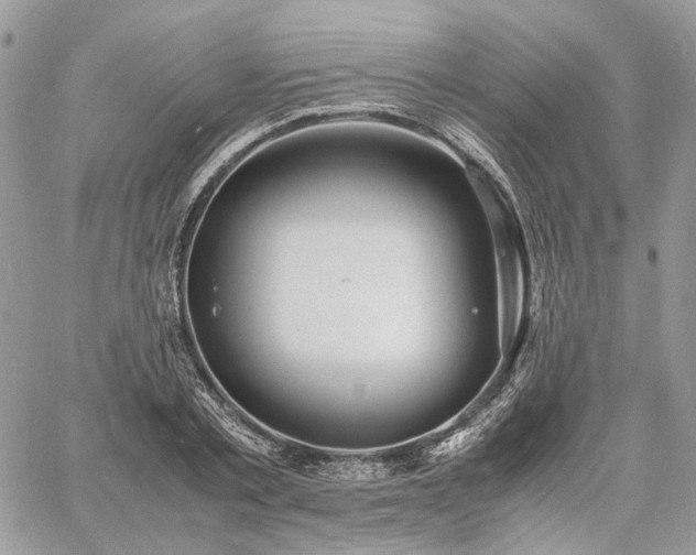 X0000060780789200511171242