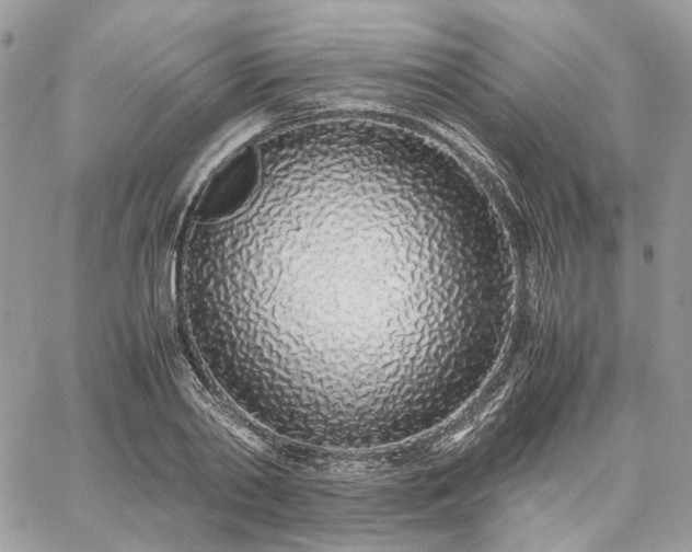 X0000060780790200511171242