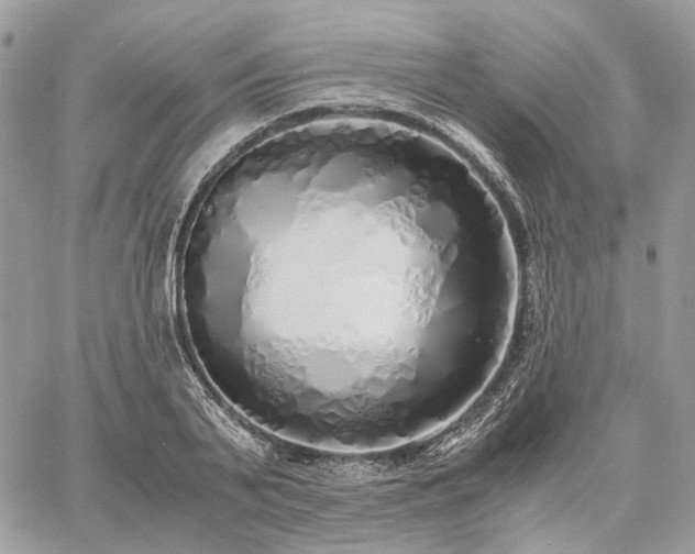 X0000060780791200511171242