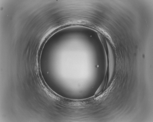 X0000060780792200511171242