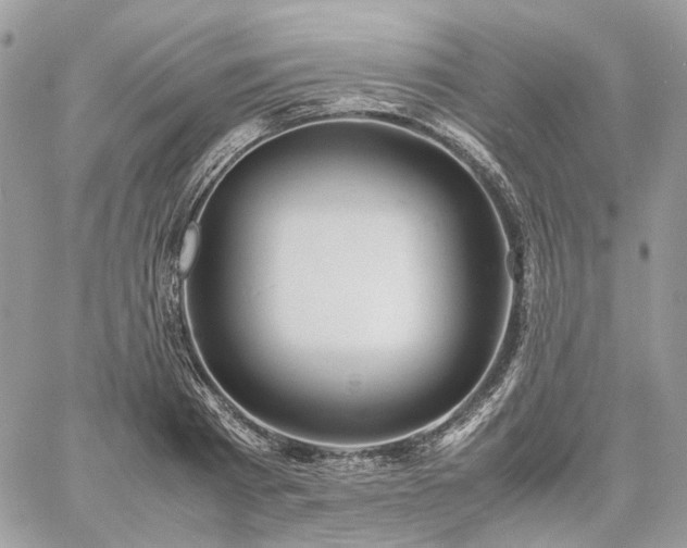 X0000060780793200511171241