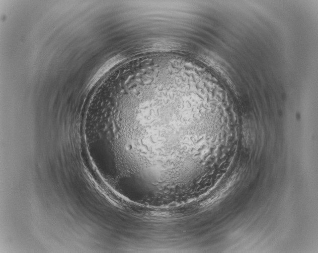 X0000060780794200511171241