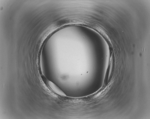 X0000060780797200511171241