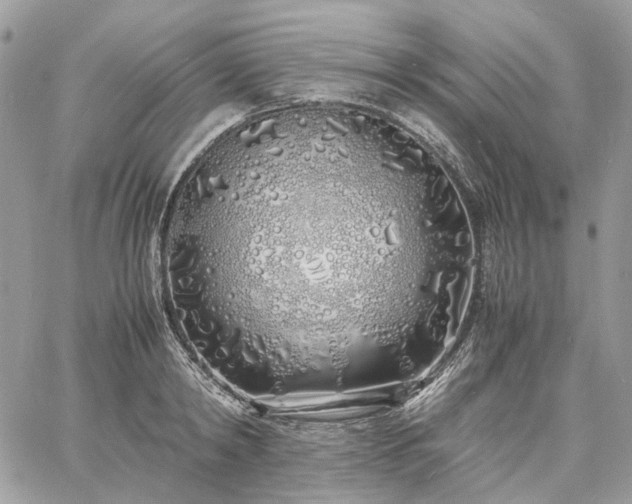 X0000060780798200511171241