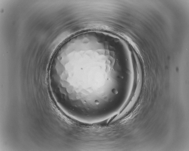 X0000060780799200511171241